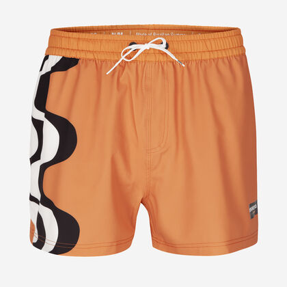 Havaianas Boardshorts Copacabana Flip Flops Zone - Image 3